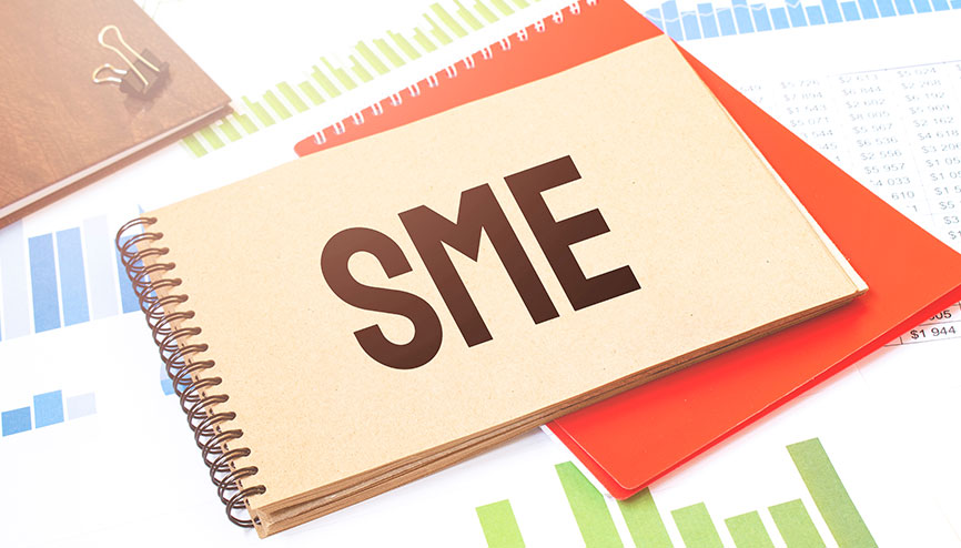 SME Segment